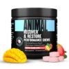 Animal Recovery Chews, Tropical Mango